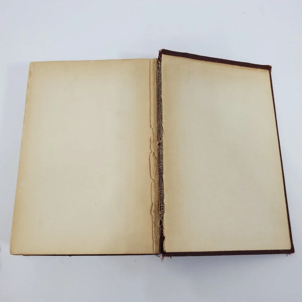 Charles Dickens Hard Times Pictures From Italy‎ Volume XII Antique Book